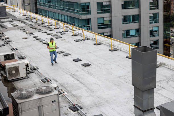 Best Storm Damage Roof Repair  in Vestavia Hills, AL